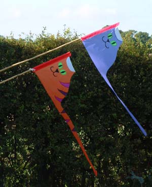 Cat Flags