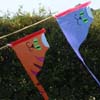 Cat Flags
