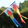 Fish Flags