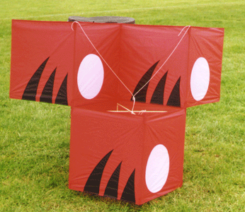 3 Cell Box - Hana Fuda