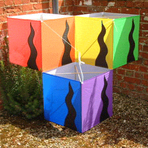 3 Cell Box - Tyger