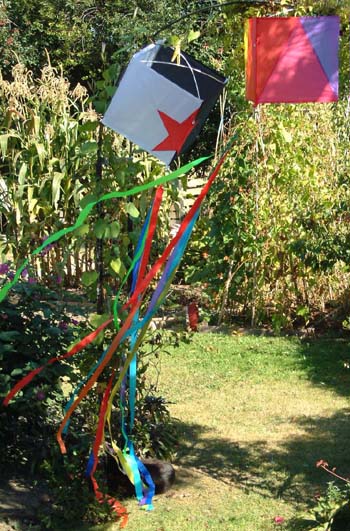Solo Cube Box Kites