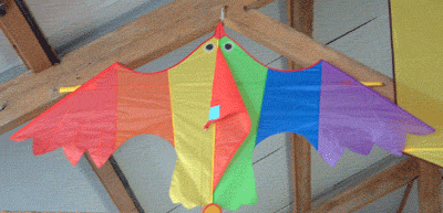 Small Bird Rainbow