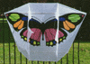 Butterfly Flare
