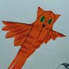 Cat Flook
