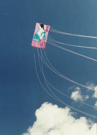 Edo in Flight