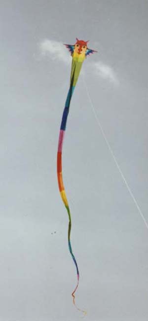 Large Flook with 70 ft tail