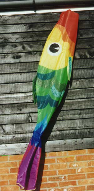 Big Fish Windsock